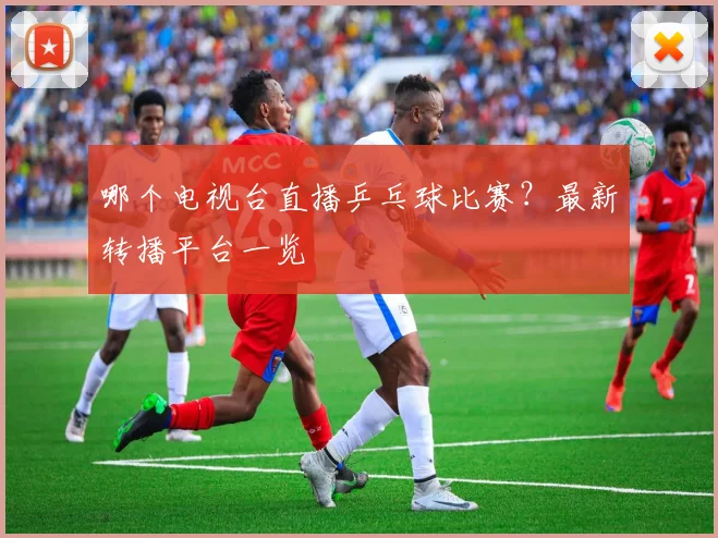 哪个电视台直播乒乓球比赛？最新转播平台一览
