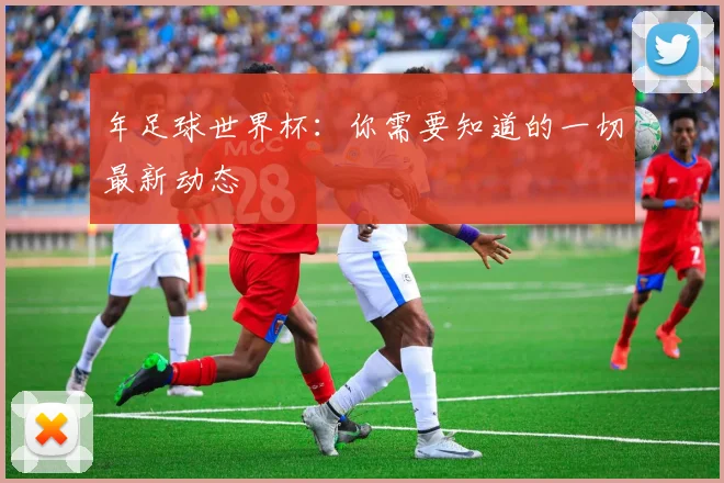 年足球世界杯：你需要知道的一切最新动态
